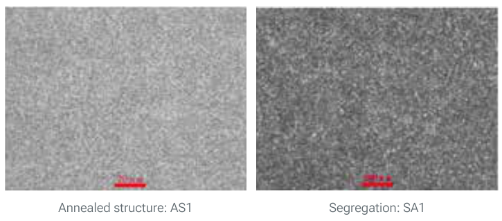 Micrographs of TGE 21 COBIA ESR: annealed structure AS1 (left) and segregation SA1 (right)