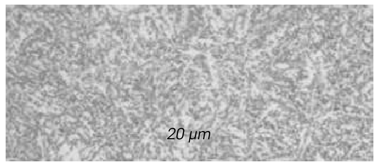 TGP 16 DENTEX ESR micrograph of the structure, 20 µm scale
